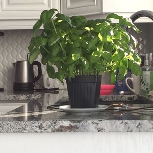 Meet your Posher, Martine